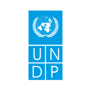 https://mustafaev.com.ua/wp-content/uploads/2018/08/UNDP-320x318.png